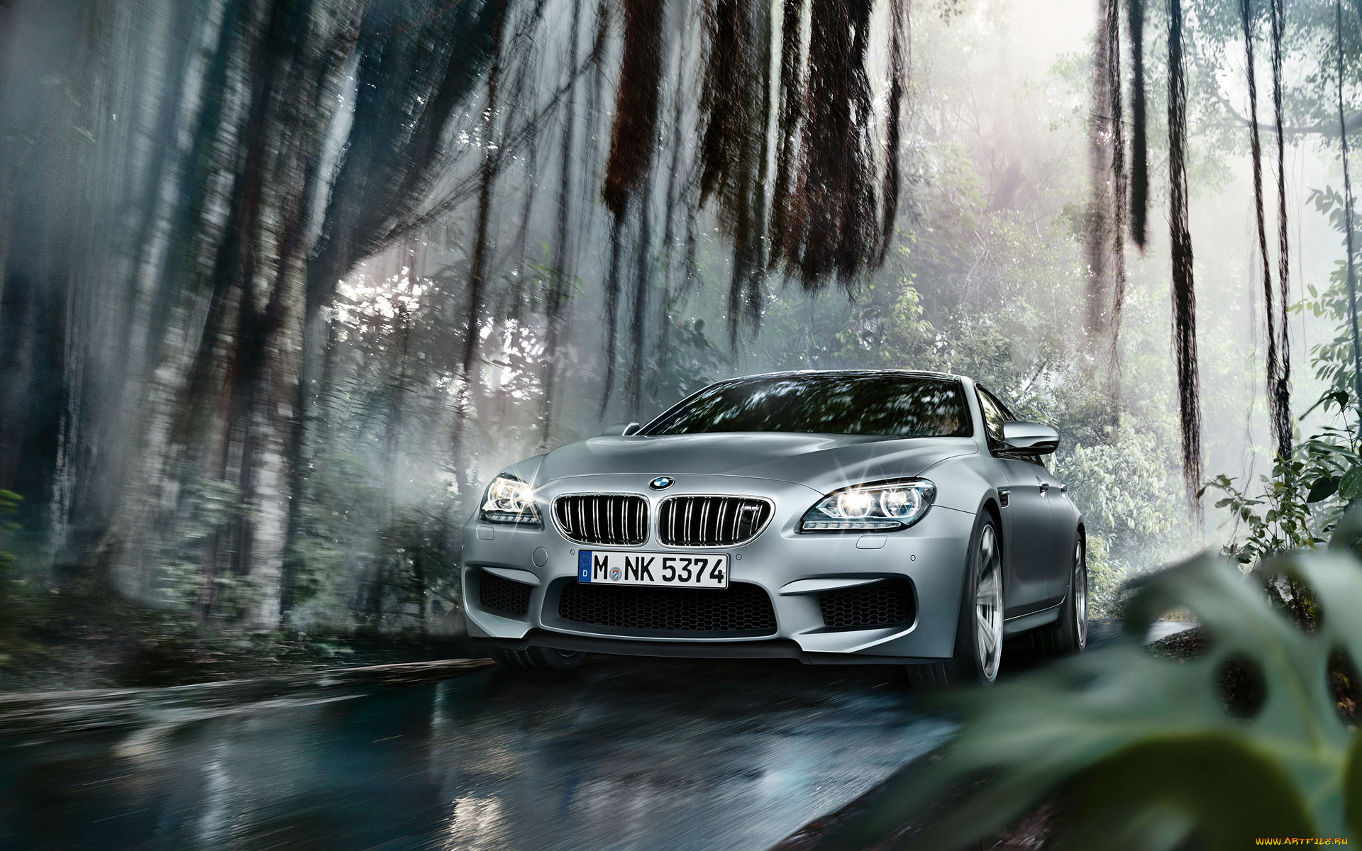 , bmw, coupe